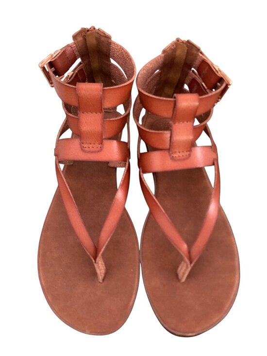 Sonoma Goods For Life Shoes - Sonoma Goods For Life Brown Gladiator Sandals With Back Zippers & Buckle Straps
